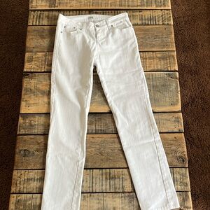 Cache Jeans size 2